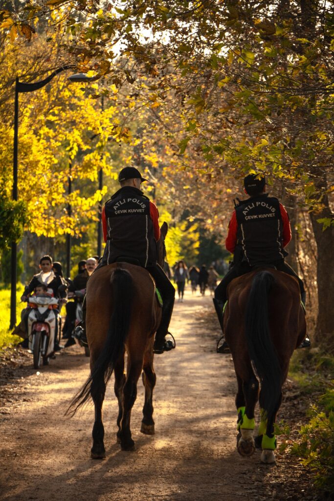 Photo by UMUT DAĞLI : https://www.pexels.com/photo/atli-polisler-16046550/